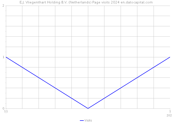 E.J. Vliegenthart Holding B.V. (Netherlands) Page visits 2024 
