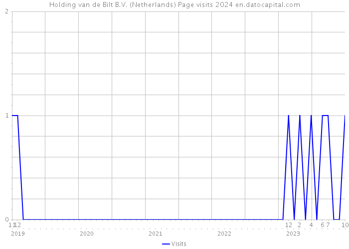 Holding van de Bilt B.V. (Netherlands) Page visits 2024 