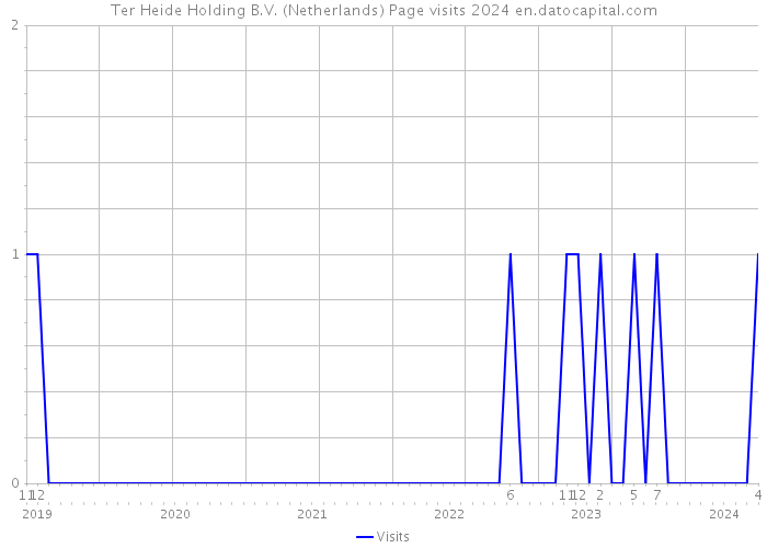 Ter Heide Holding B.V. (Netherlands) Page visits 2024 