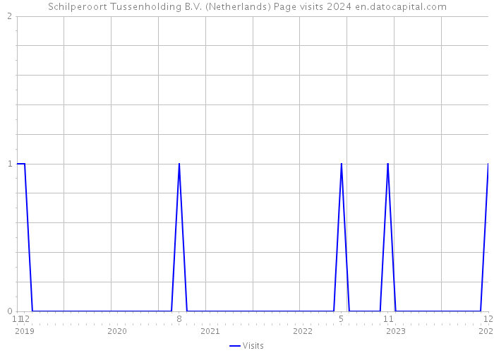Schilperoort Tussenholding B.V. (Netherlands) Page visits 2024 