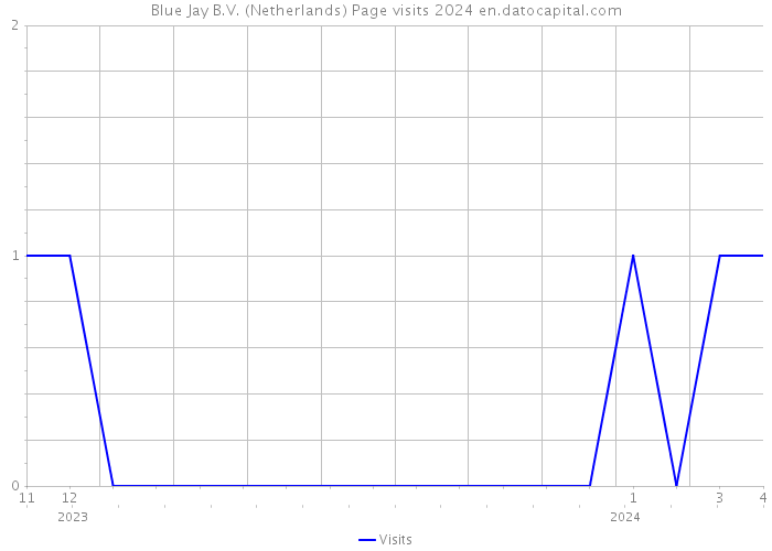 Blue Jay B.V. (Netherlands) Page visits 2024 