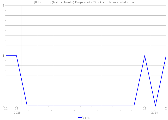 JB Holding (Netherlands) Page visits 2024 