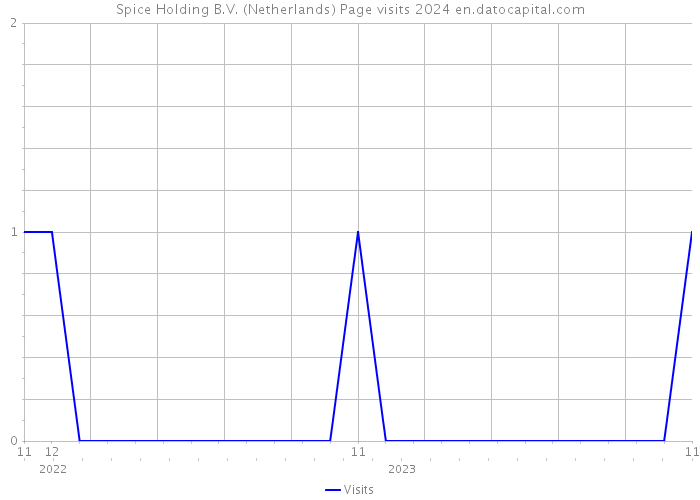 Spice Holding B.V. (Netherlands) Page visits 2024 