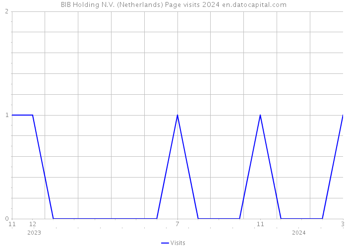 BIB Holding N.V. (Netherlands) Page visits 2024 