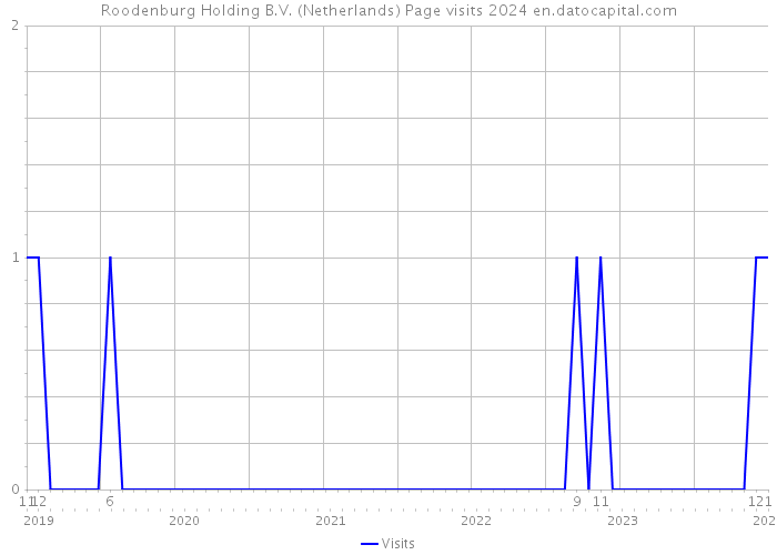 Roodenburg Holding B.V. (Netherlands) Page visits 2024 