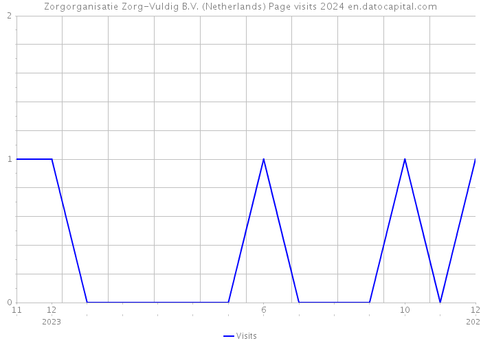 Zorgorganisatie Zorg-Vuldig B.V. (Netherlands) Page visits 2024 