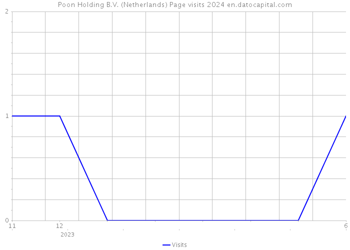 Poon Holding B.V. (Netherlands) Page visits 2024 