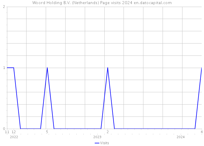 Woord Holding B.V. (Netherlands) Page visits 2024 