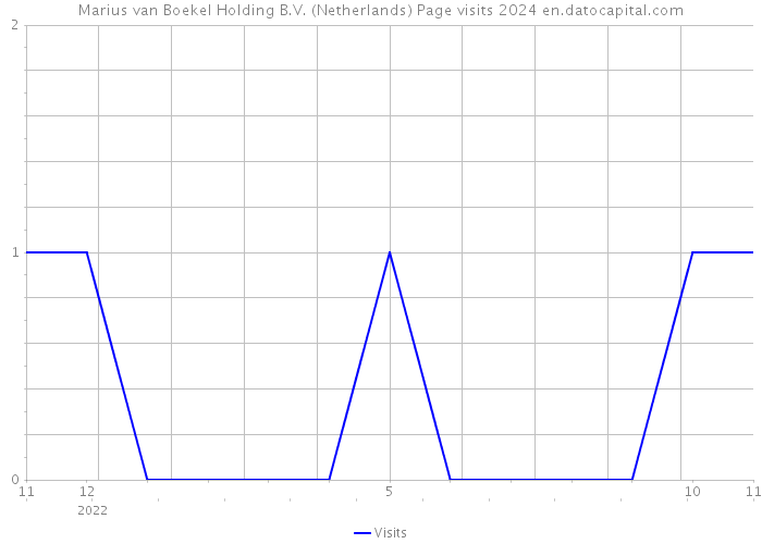 Marius van Boekel Holding B.V. (Netherlands) Page visits 2024 