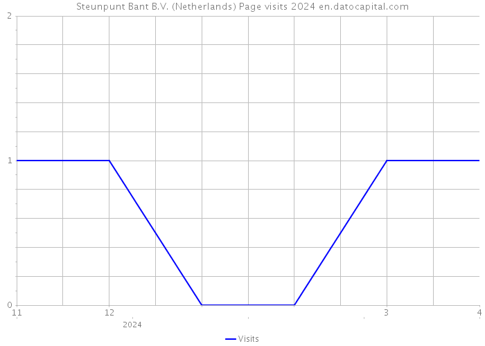 Steunpunt Bant B.V. (Netherlands) Page visits 2024 