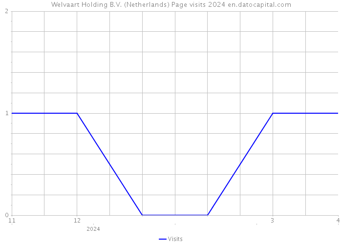 Welvaart Holding B.V. (Netherlands) Page visits 2024 