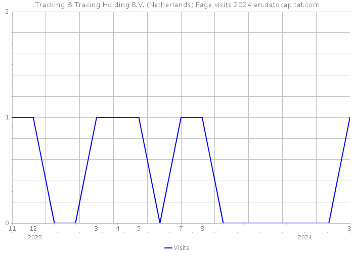 Tracking & Tracing Holding B.V. (Netherlands) Page visits 2024 