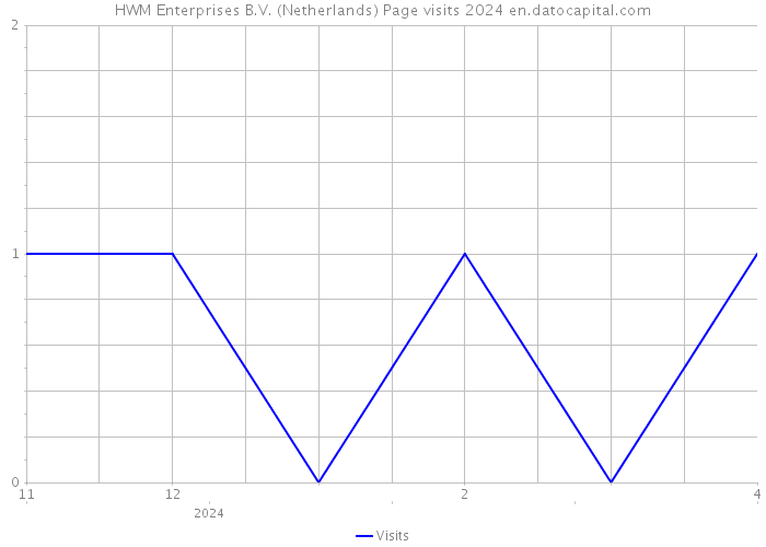 HWM Enterprises B.V. (Netherlands) Page visits 2024 