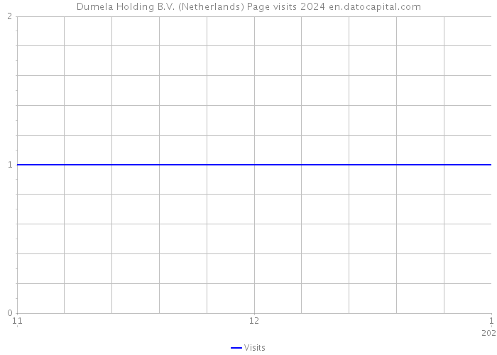 Dumela Holding B.V. (Netherlands) Page visits 2024 