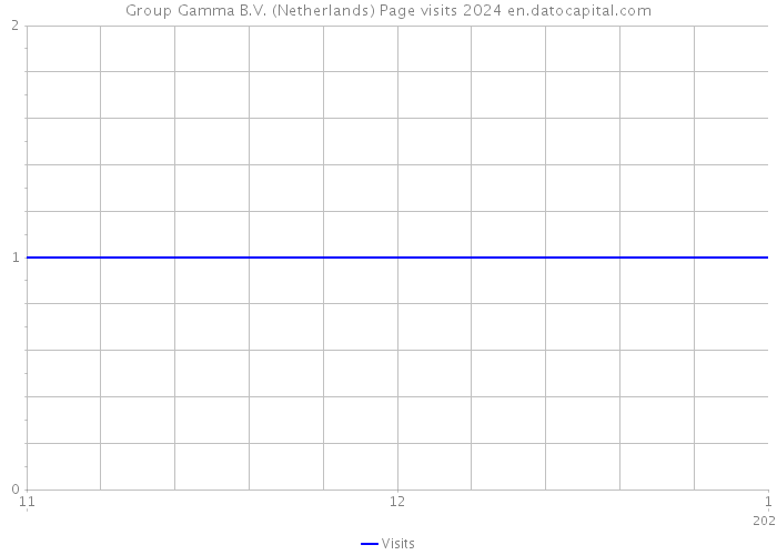 Group Gamma B.V. (Netherlands) Page visits 2024 