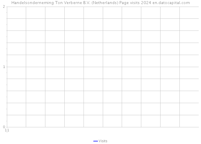 Handelsonderneming Ton Verberne B.V. (Netherlands) Page visits 2024 