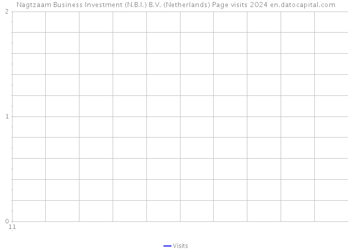 Nagtzaam Business Investment (N.B.I.) B.V. (Netherlands) Page visits 2024 