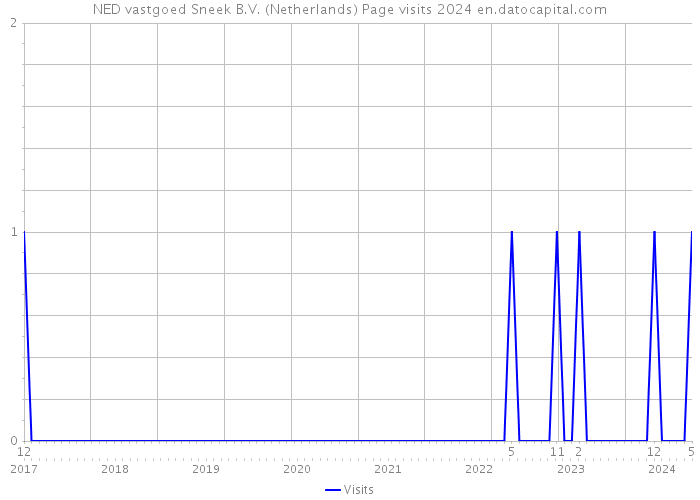 NED vastgoed Sneek B.V. (Netherlands) Page visits 2024 