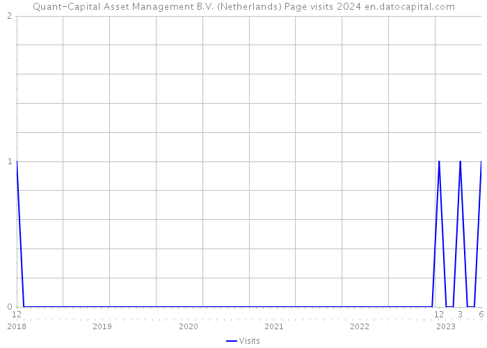 Quant-Capital Asset Management B.V. (Netherlands) Page visits 2024 