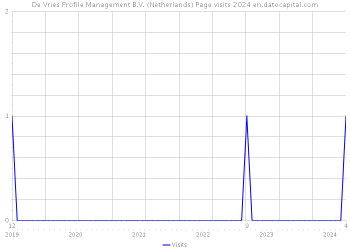 De Vries Profile Management B.V. (Netherlands) Page visits 2024 