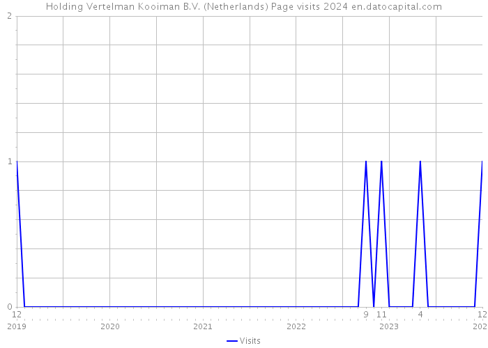 Holding Vertelman Kooiman B.V. (Netherlands) Page visits 2024 