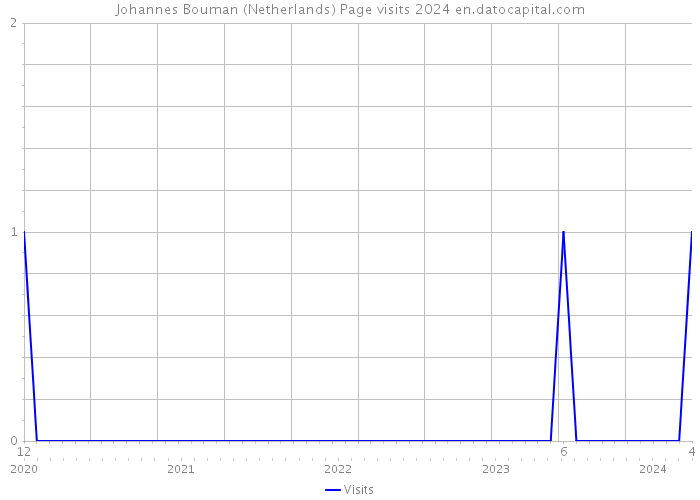 Johannes Bouman (Netherlands) Page visits 2024 