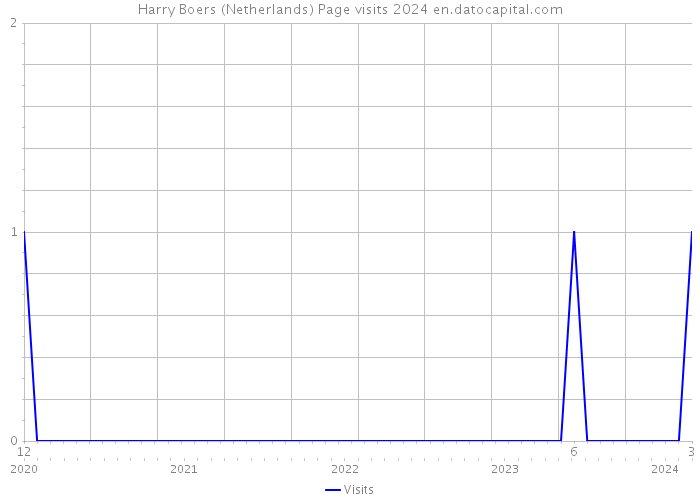Harry Boers (Netherlands) Page visits 2024 