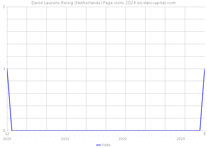 David Laurens Reisig (Netherlands) Page visits 2024 