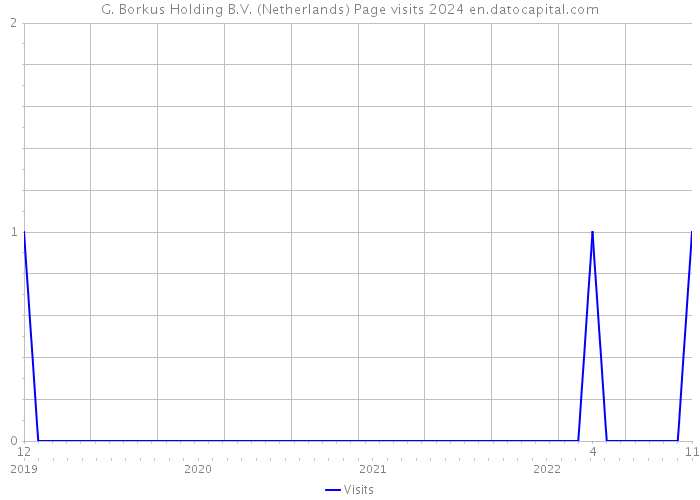 G. Borkus Holding B.V. (Netherlands) Page visits 2024 