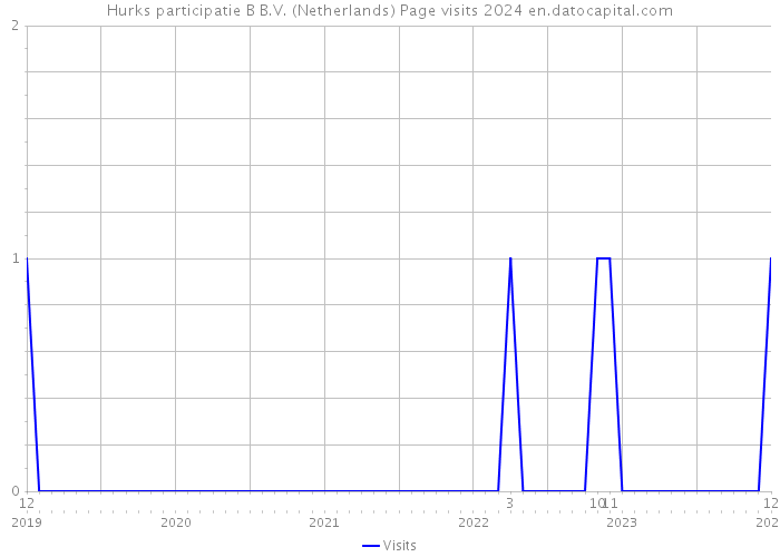 Hurks participatie B B.V. (Netherlands) Page visits 2024 