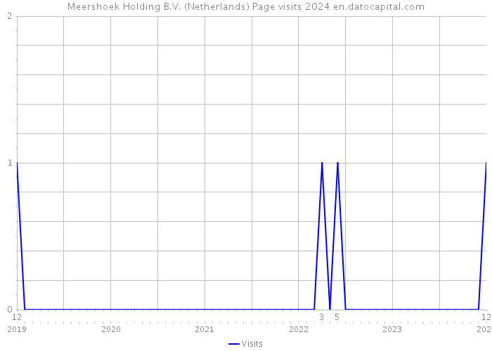 Meershoek Holding B.V. (Netherlands) Page visits 2024 