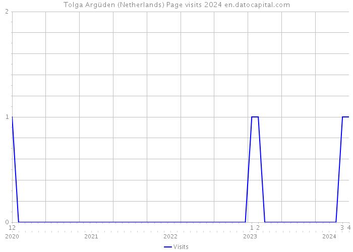 Tolga Argüden (Netherlands) Page visits 2024 