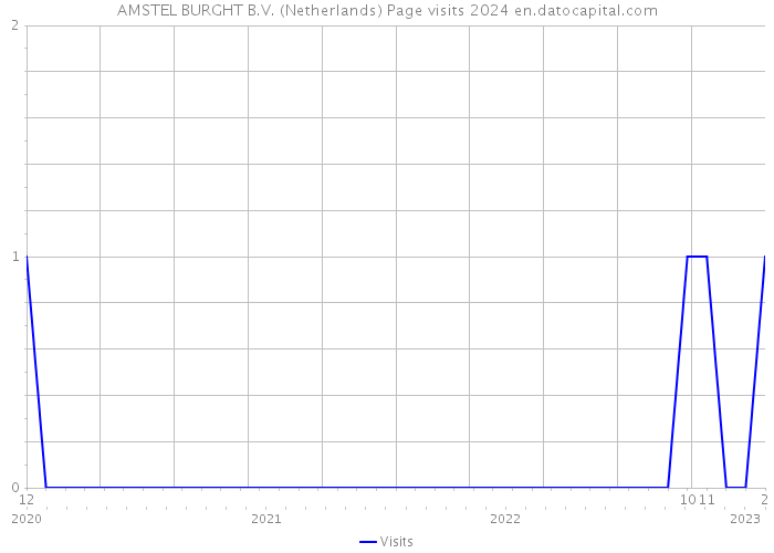 AMSTEL BURGHT B.V. (Netherlands) Page visits 2024 