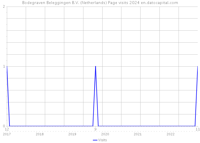 Bodegraven Beleggingen B.V. (Netherlands) Page visits 2024 