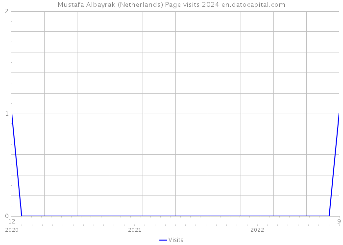 Mustafa Albayrak (Netherlands) Page visits 2024 