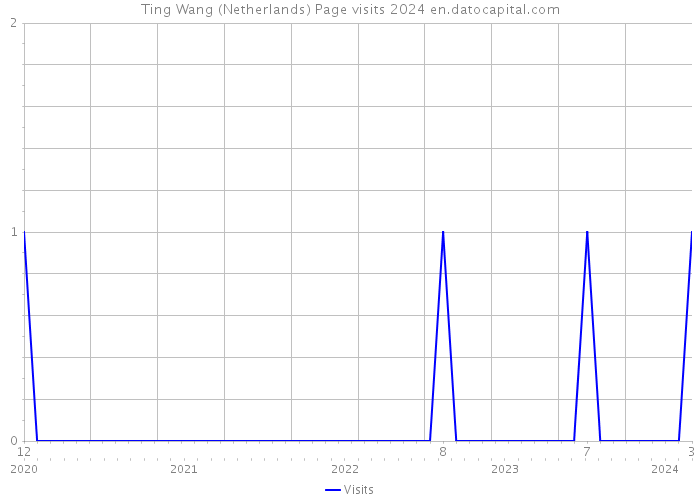 Ting Wang (Netherlands) Page visits 2024 