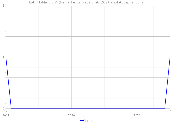 Lobi Holding B.V. (Netherlands) Page visits 2024 
