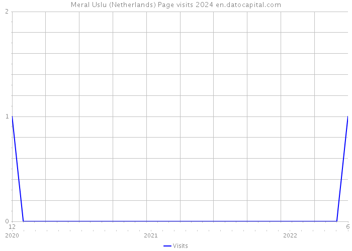 Meral Uslu (Netherlands) Page visits 2024 