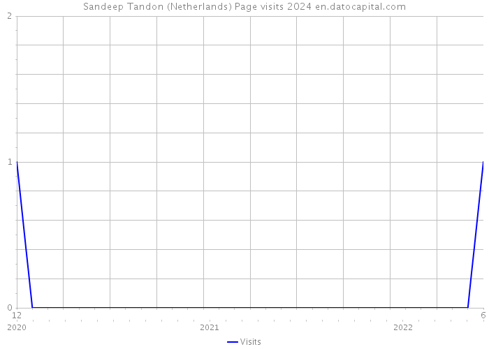 Sandeep Tandon (Netherlands) Page visits 2024 