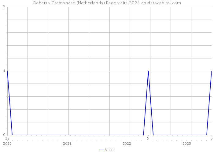 Roberto Cremonese (Netherlands) Page visits 2024 
