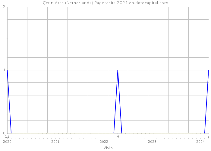 Çetin Ates (Netherlands) Page visits 2024 