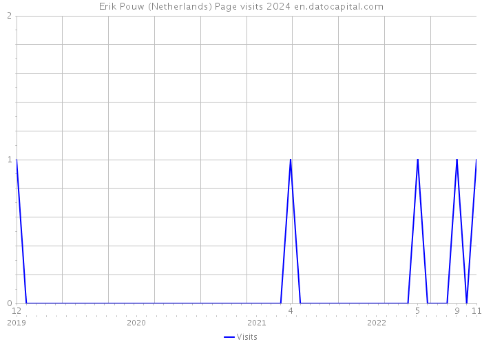 Erik Pouw (Netherlands) Page visits 2024 