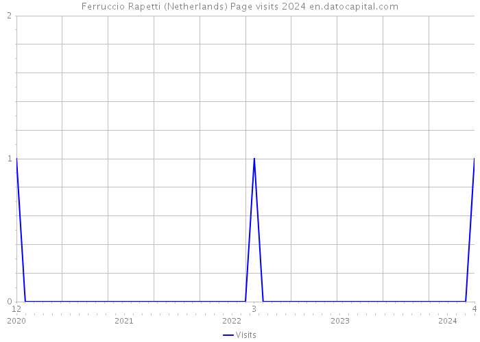 Ferruccio Rapetti (Netherlands) Page visits 2024 
