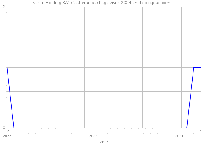 Vaslin Holding B.V. (Netherlands) Page visits 2024 