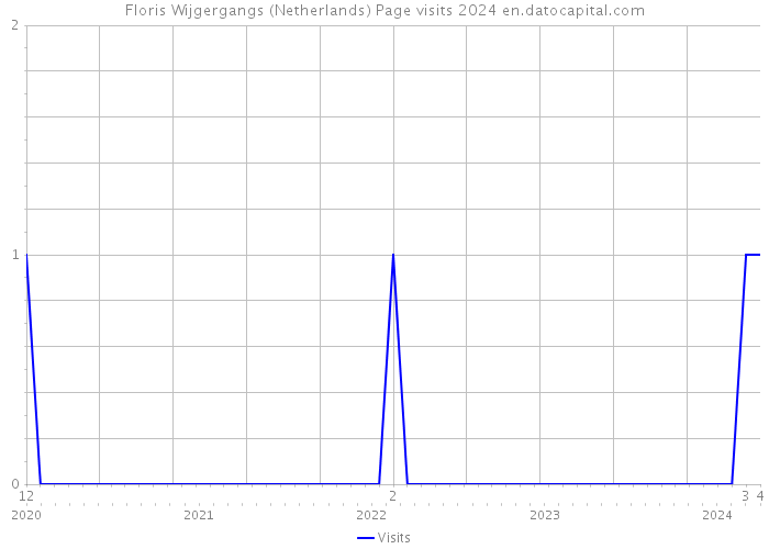 Floris Wijgergangs (Netherlands) Page visits 2024 
