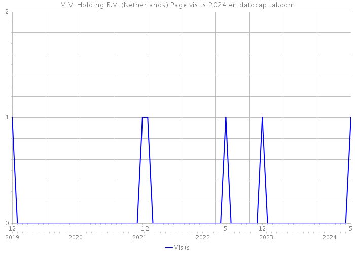 M.V. Holding B.V. (Netherlands) Page visits 2024 