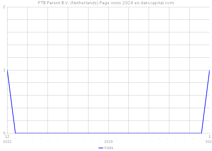 FTB Parent B.V. (Netherlands) Page visits 2024 