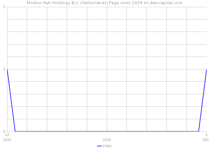Mother Hub Holdings B.V. (Netherlands) Page visits 2024 