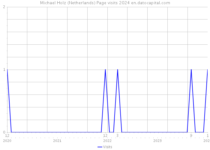 Michael Holz (Netherlands) Page visits 2024 