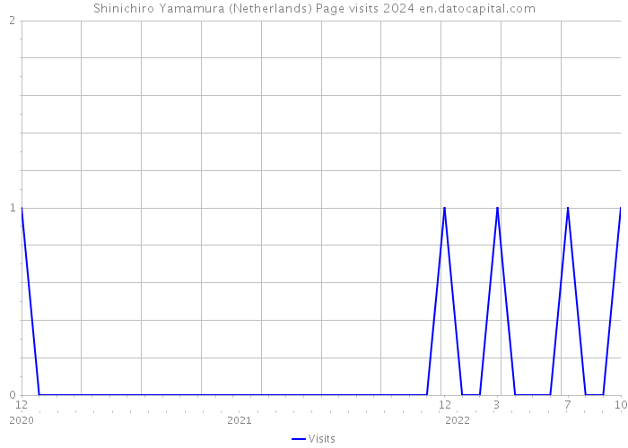 Shinichiro Yamamura (Netherlands) Page visits 2024 